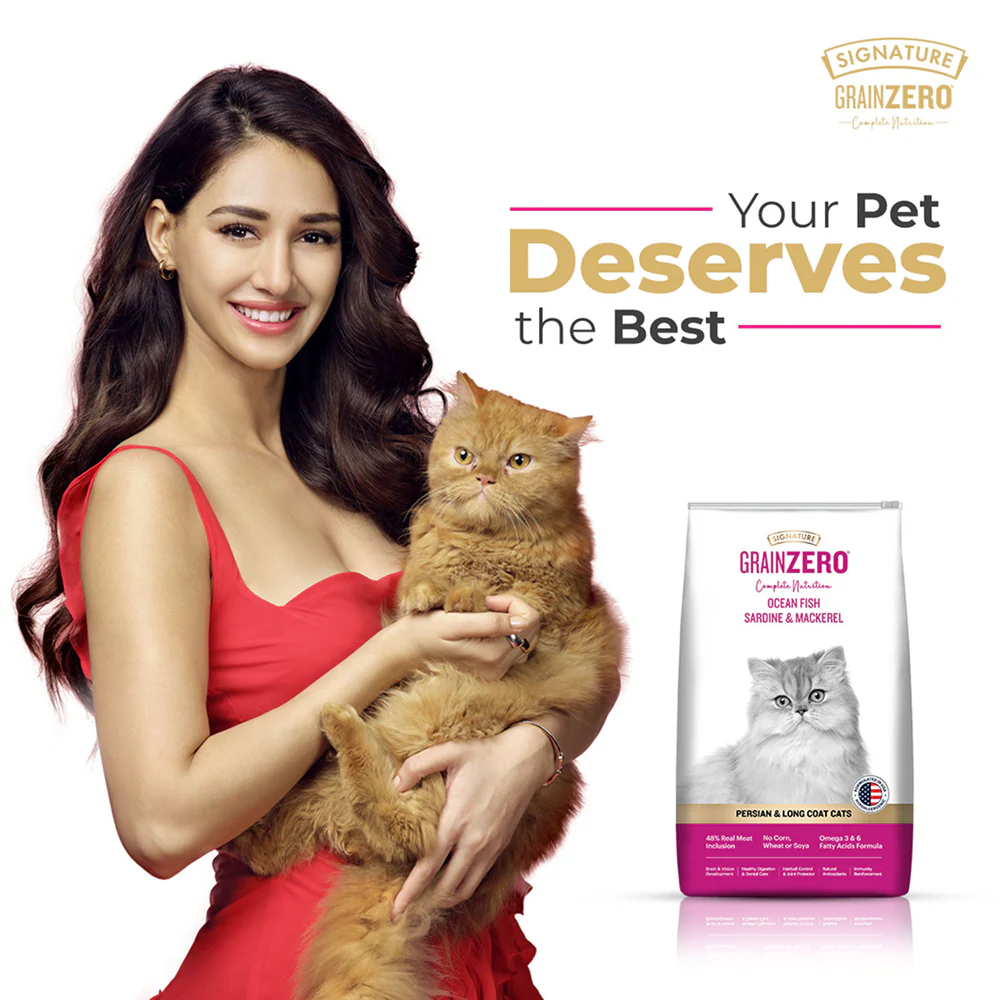 Signature Grain Zero Ocean Fish, Sardine and Mackerel Long Coat & Persian Adult Cat Dry Food - Image 2