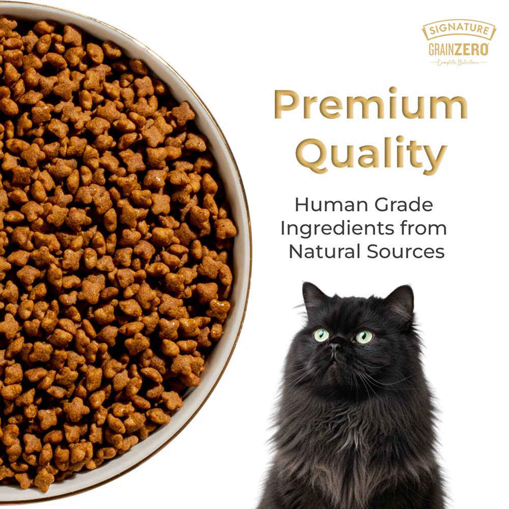 Signature Grain Zero Ocean Fish, Sardine and Mackerel Long Coat & Persian Adult Cat Dry Food - Image 3