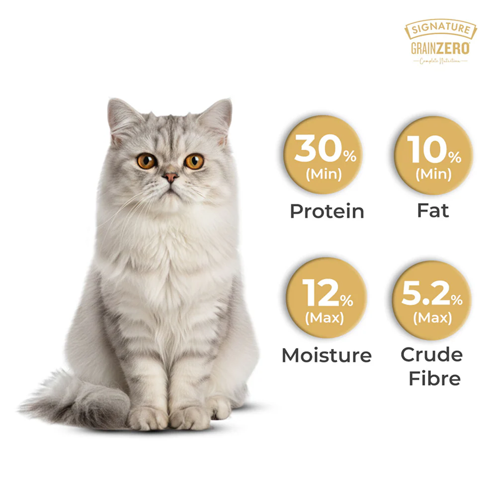 Signature Grain Zero Ocean Fish, Sardine and Mackerel Long Coat & Persian Adult Cat Dry Food - Image 4