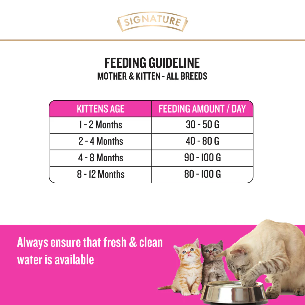 Signature Grain Zero Ocean Fish, Sardine and Mackerel Mother and Kitten Cat Dry Food and Grain Zero Chicken and Liver Lickable Creamy Cat Treats Combo - Image 3