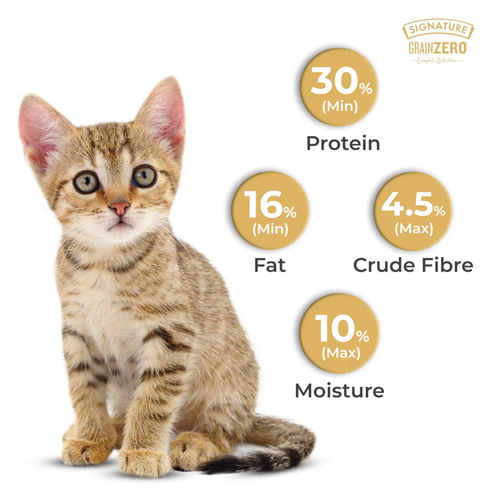 Signature Grain Zero Ocean Fish, Sardine and Mackerel Mother and Kitten Cat Dry Food - Image 10
