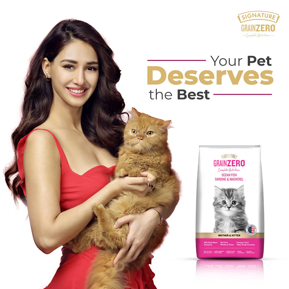 Signature Grain Zero Ocean Fish, Sardine and Mackerel Mother and Kitten Cat Dry Food - Image 2