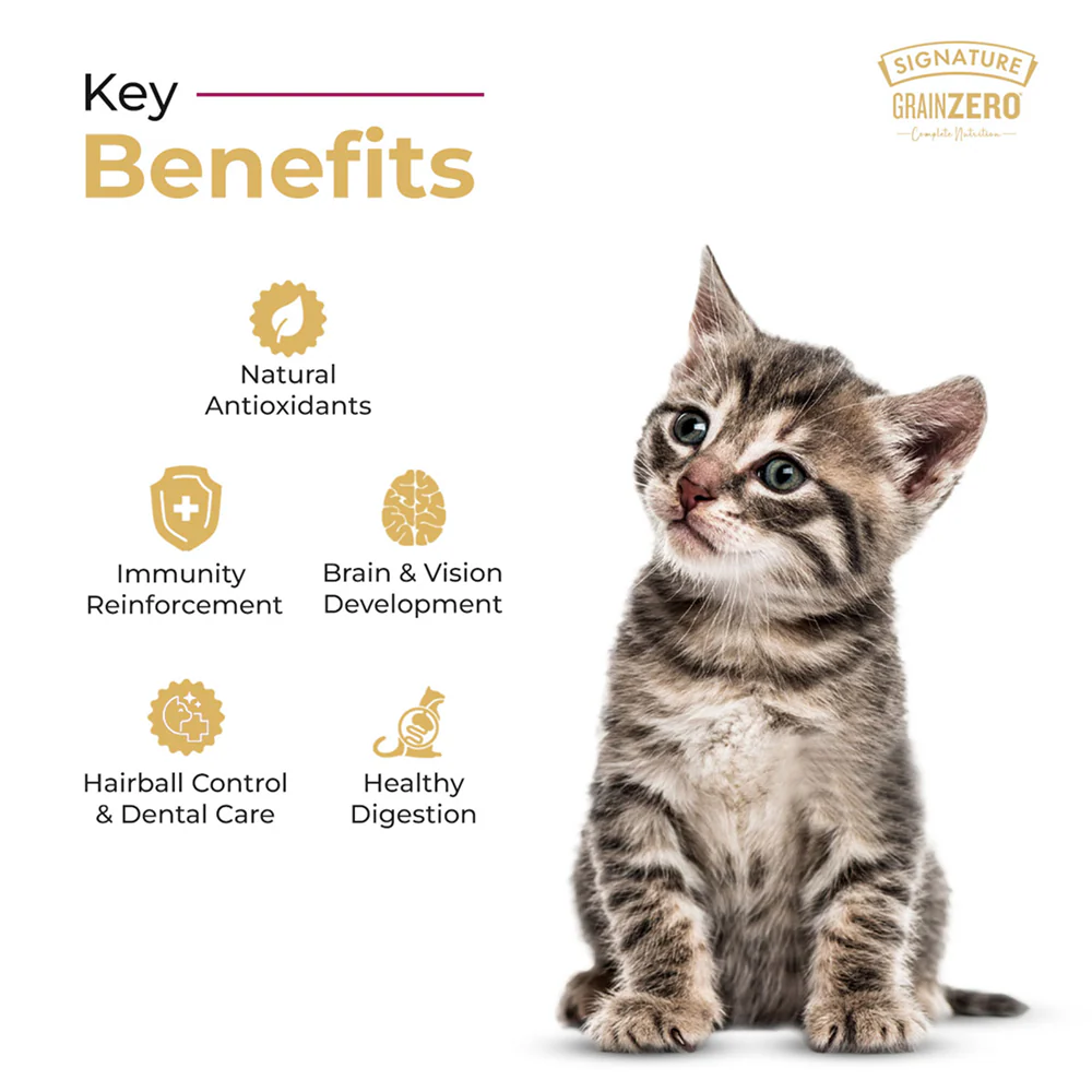 Signature Grain Zero Ocean Fish, Sardine and Mackerel Mother and Kitten Cat Dry Food - Image 5