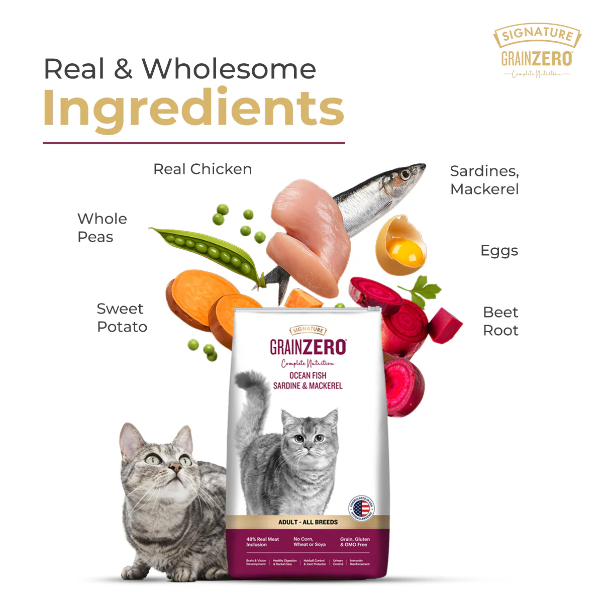 Signature Grain Zero Ocean Fish, Sardine and Mackerel Adult Cat Dry Food - Image 2