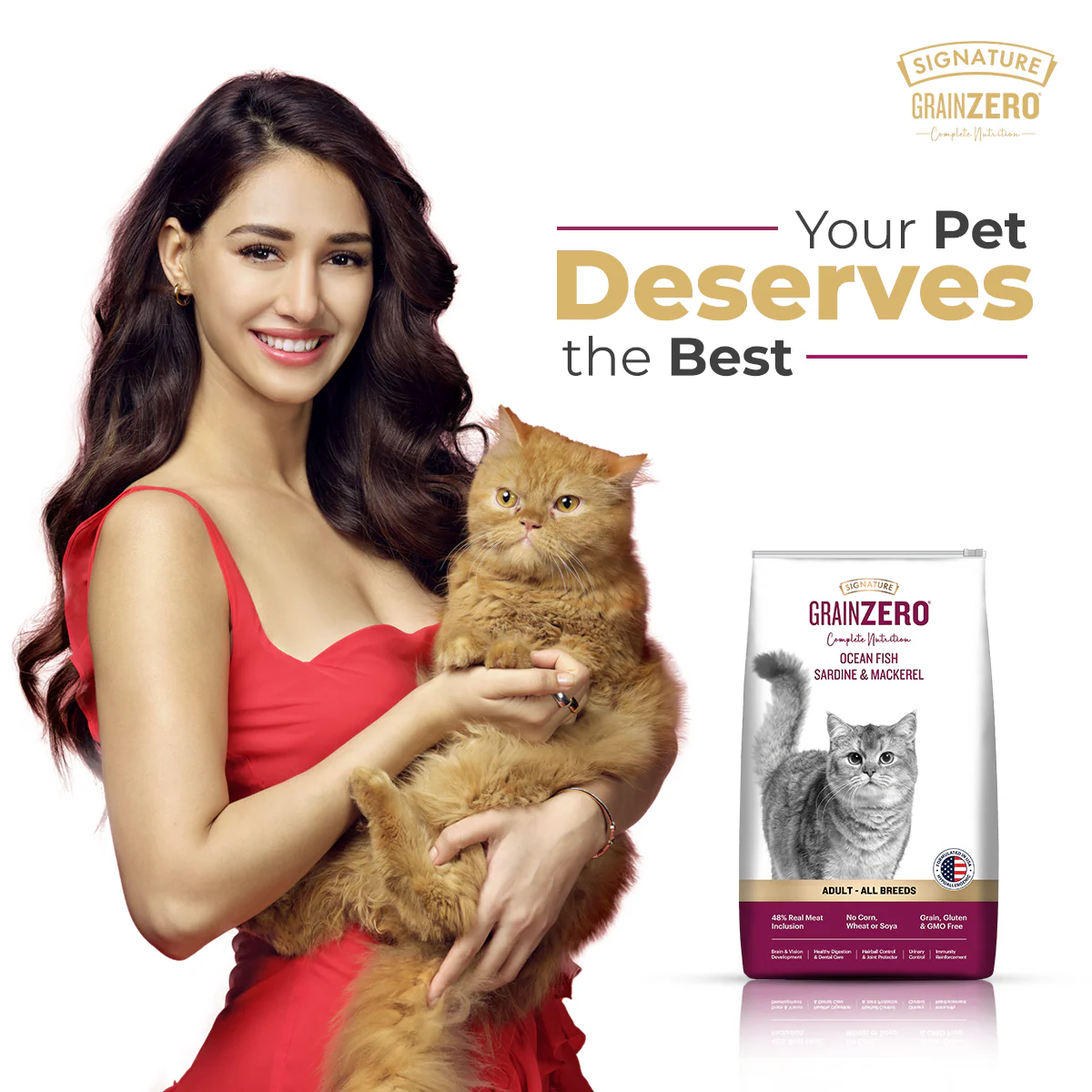 Signature Grain Zero Ocean Fish, Sardine and Mackerel Adult Cat Dry Food - Image 4