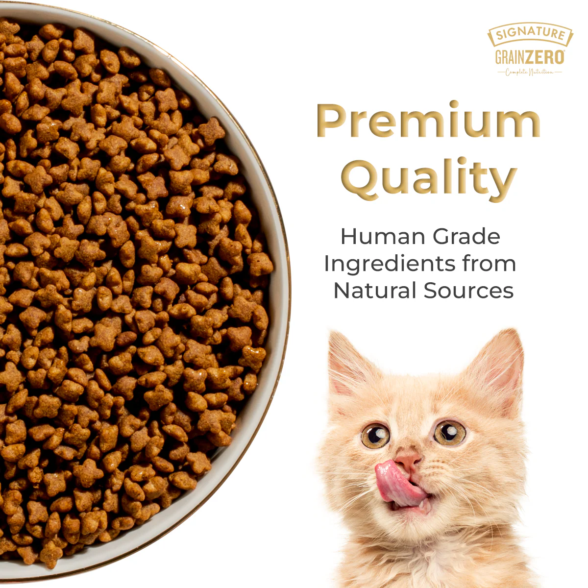 Signature Grain Zero Ocean Fish, Sardine and Mackerel Adult Cat Dry Food - Image 8