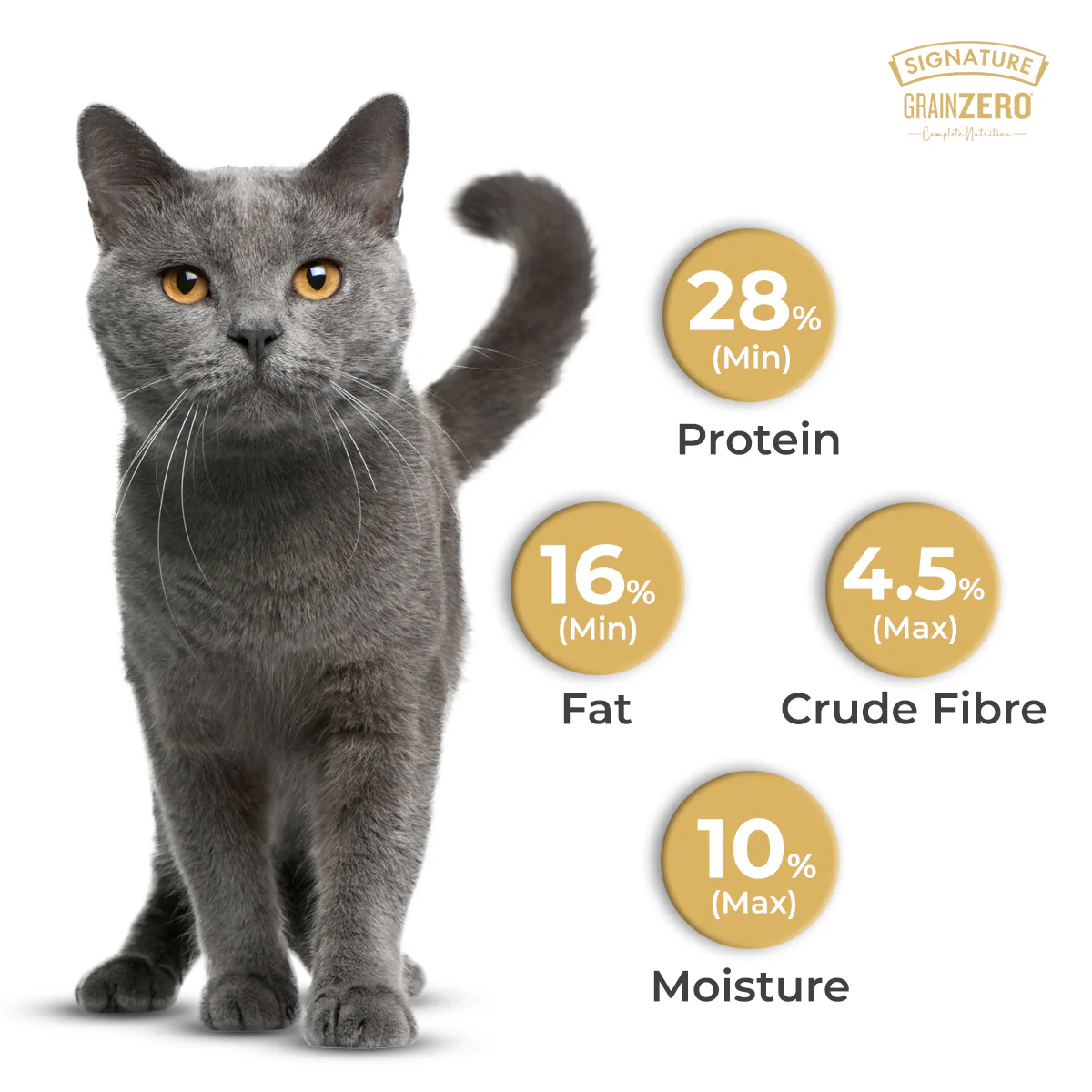 Signature Grain Zero Ocean Fish, Sardine and Mackerel Adult Cat Dry Food - Image 9