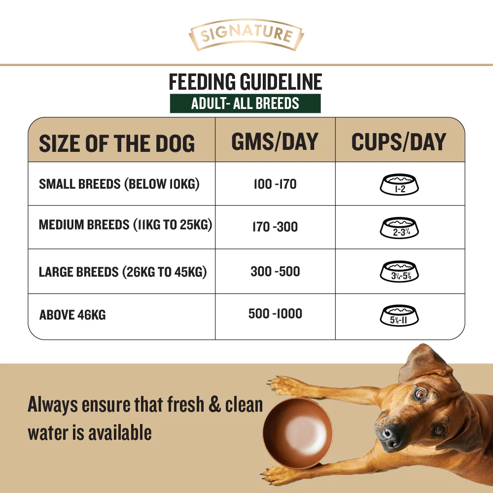 Signature Grain Zero Real Chicken, Egg and Vegetables Adult Dog Dry Food - Image 4