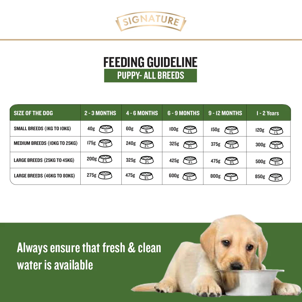 Signature Grain Zero Real Chicken, Egg and Vegetables Puppy Dog Dry Food - Image 4