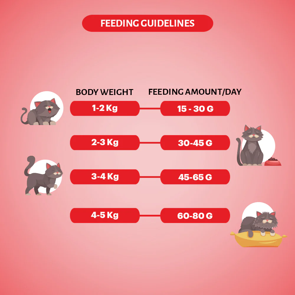 Signature Grain Zero Salmon Adult All Breed Adult Cat Dry Food - Image 9