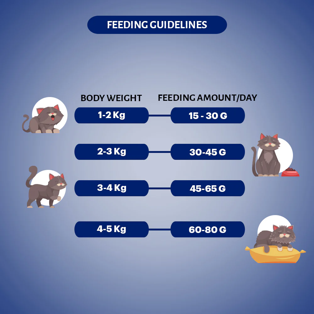 Signature Grain Zero Seafood Adult All Breed Adult Cat Dry Food - Image 2