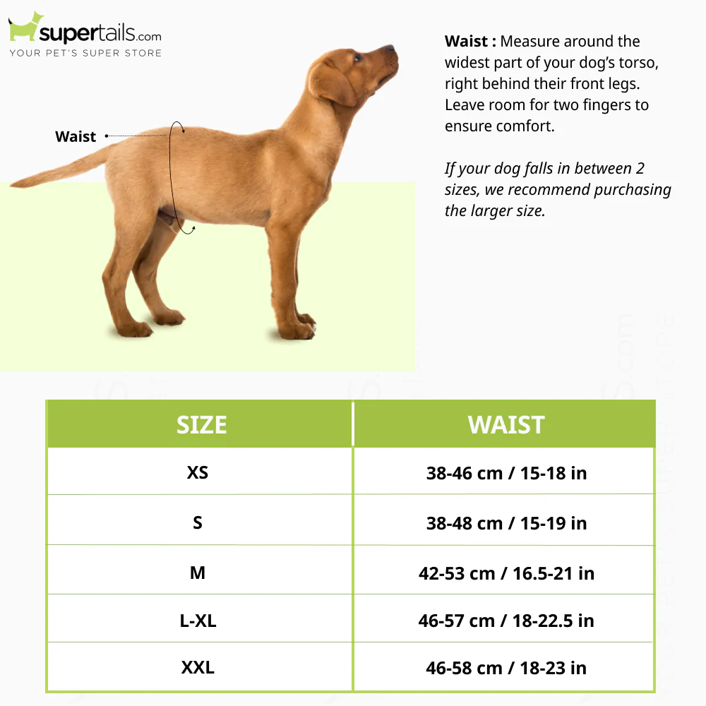 Simple Solution Disposable Diaper for Female Dogs (46x58cm) - Image 2