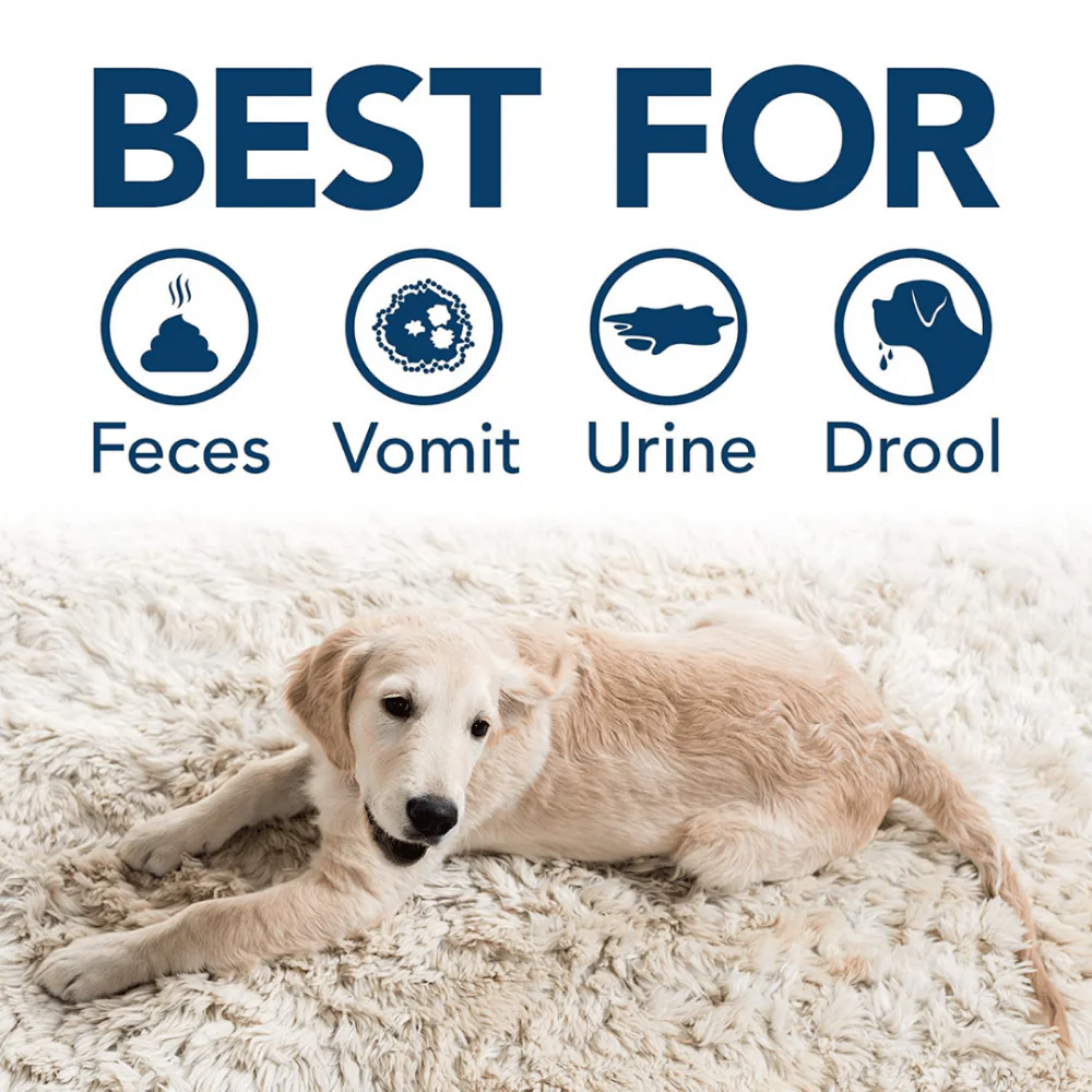 Simple Solution Stain & Odor Remover for Dogs - Image 3