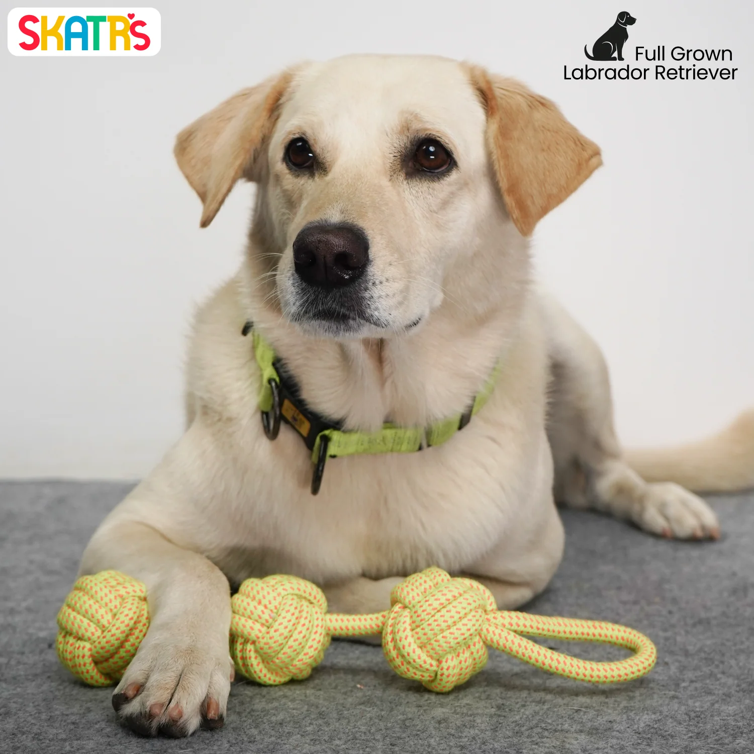 Skatrs 3 Ball Rope Tug Toy for Dogs and Cats (Yellow) - Image 4