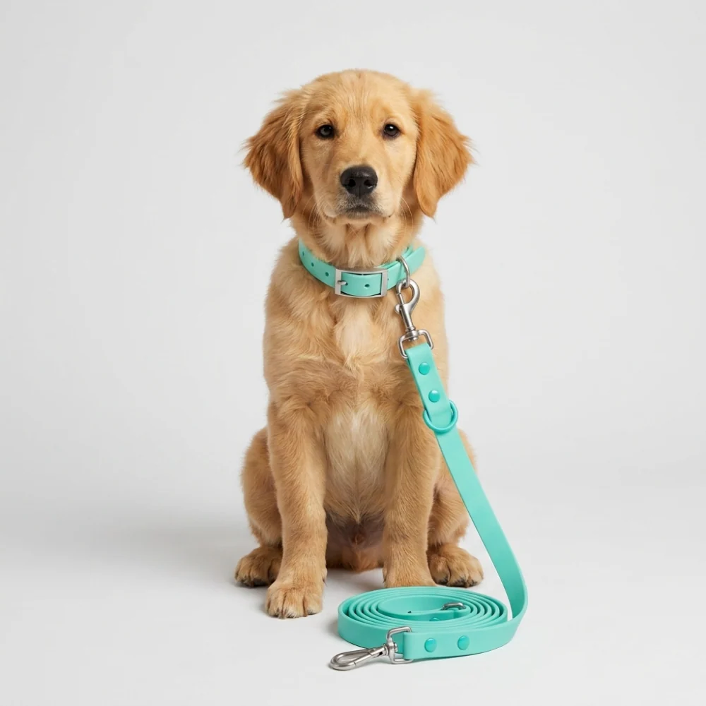 Skatrs 3 in 1 Adjustable Leash for Dogs (Aqua Teal) - Image 3