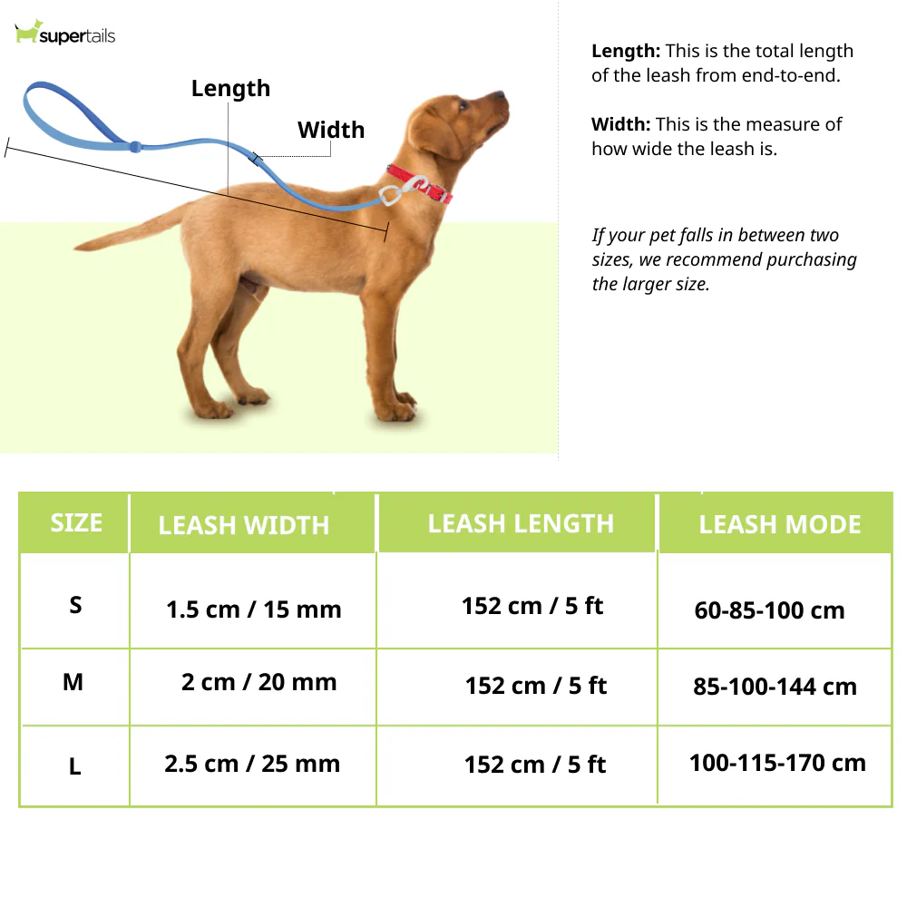Skatrs 3 in 1 Adjustable Leash for Dogs (Ruby Red) - Image 2