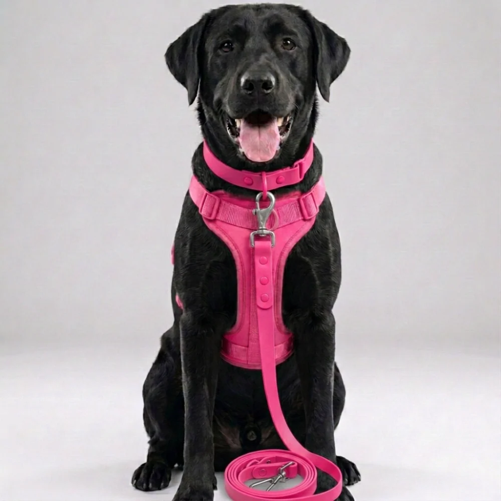 Skatrs 3 in 1 Adjustable Leash for Dogs (Cosmic Purple) - Image 5