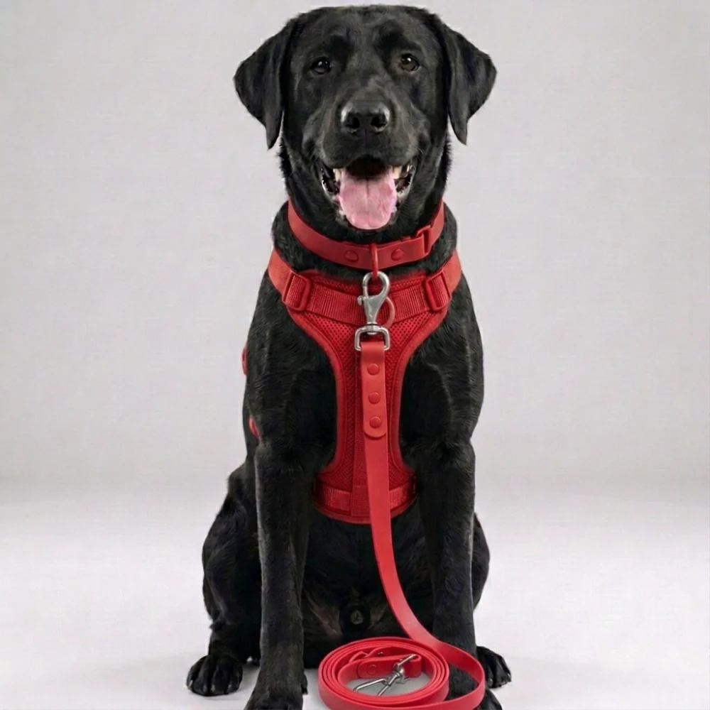 Skatrs 3 in 1 Adjustable Leash for Dogs (Cosmic Purple) - Image 7