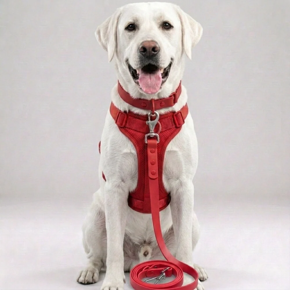 Skatrs 3 in 1 Adjustable Leash for Dogs (Cosmic Purple) - Image 9