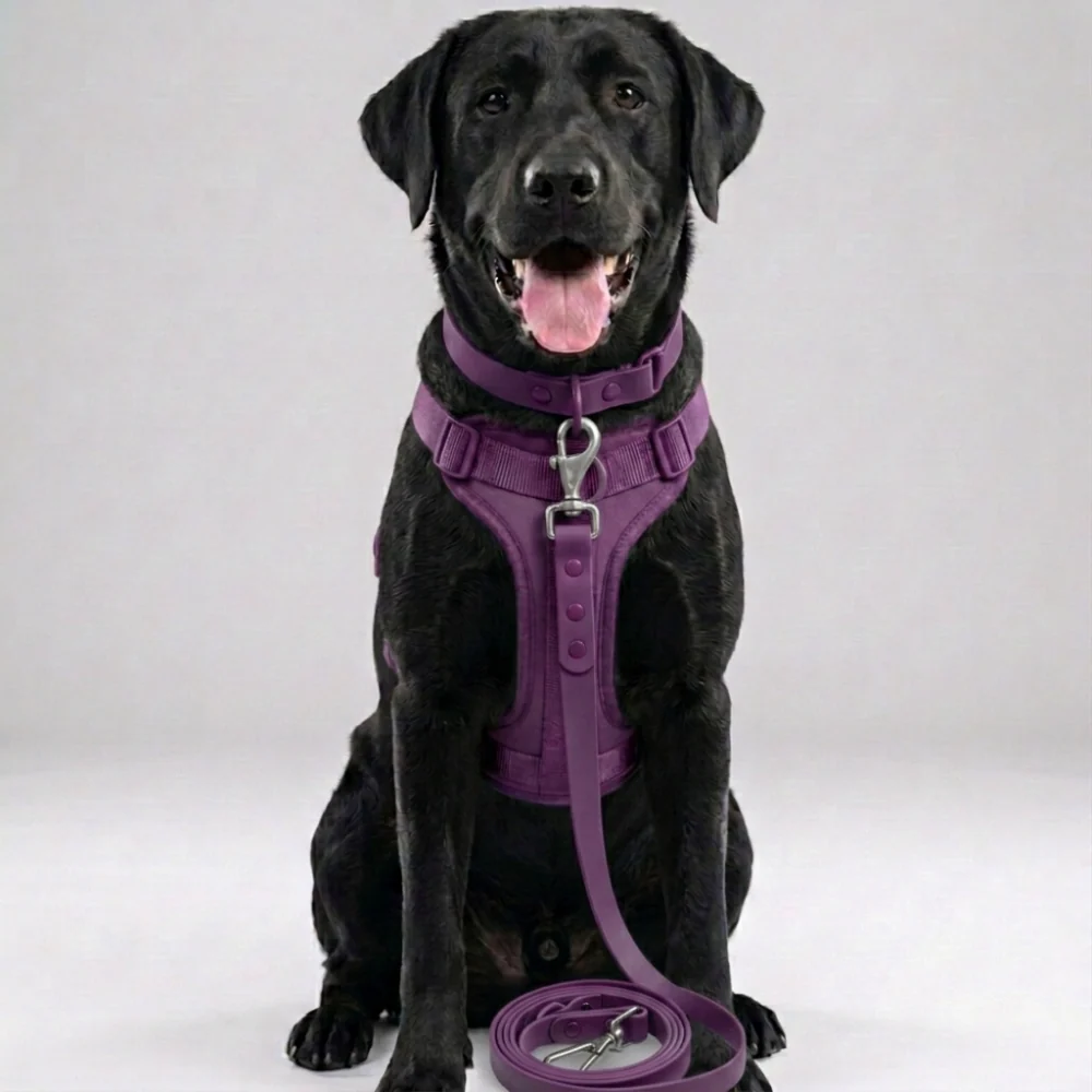 Skatrs 3 in 1 Adjustable Leash for Dogs (Ruby Red) - Image 3