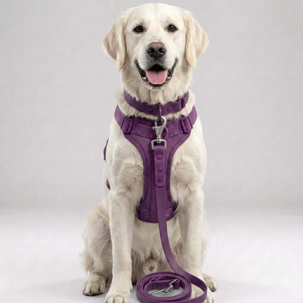 Skatrs 3 in 1 Adjustable Leash for Dogs (Ruby Red) - Image 5
