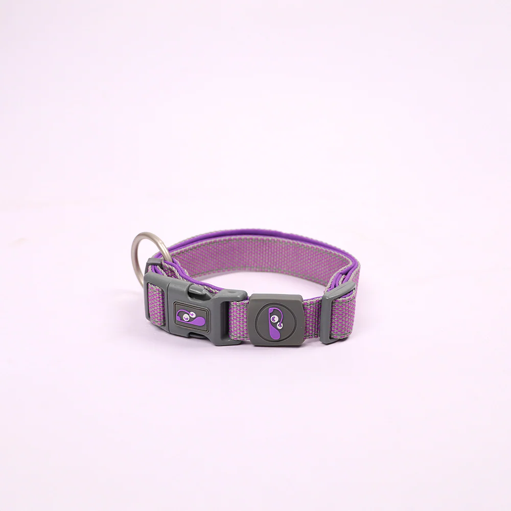 Skatrs Adjustable Collar for Dogs & Cats (Purple)