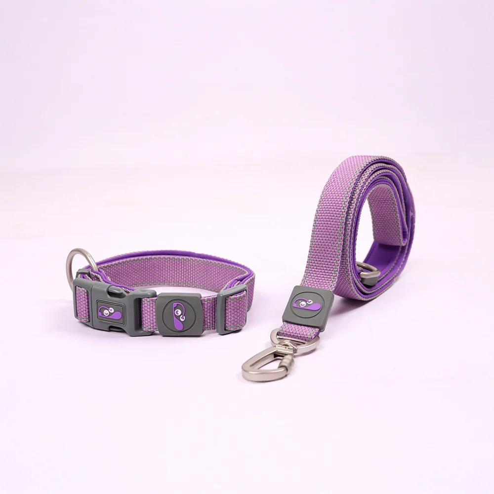 Skatrs Adjustable Collar for Dogs & Cats (Purple) - Image 3