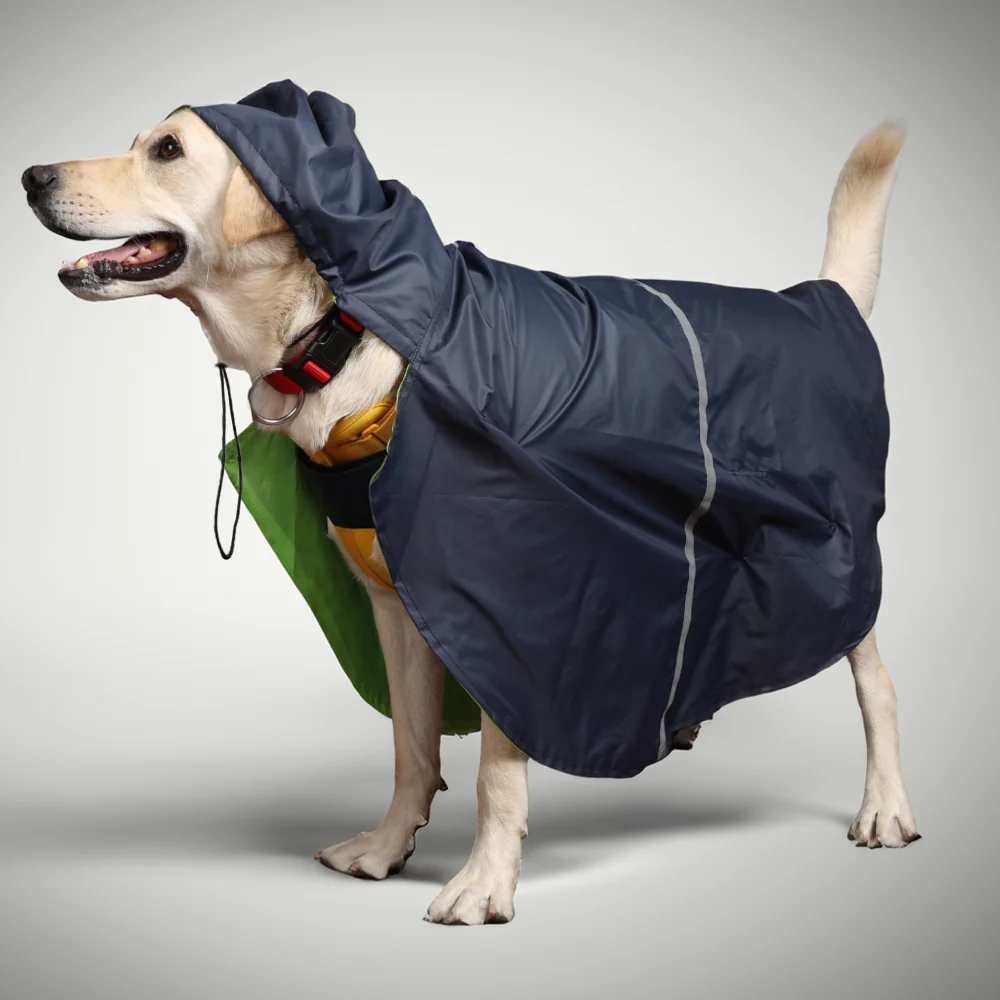 Skatrs Full Coverage Cape Style Raincoat for Dogs and Cats (Blue) - Image 3