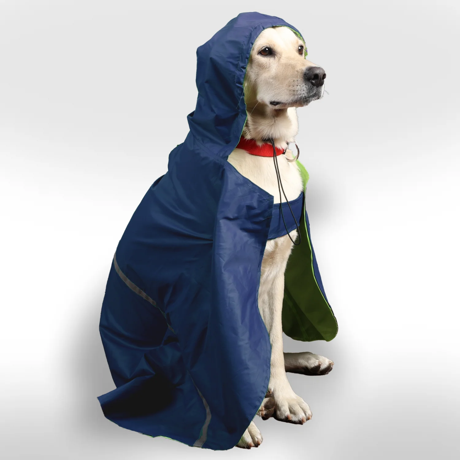 Skatrs Full Coverage Cape Style Raincoat for Dogs and Cats (Blue) - Image 7