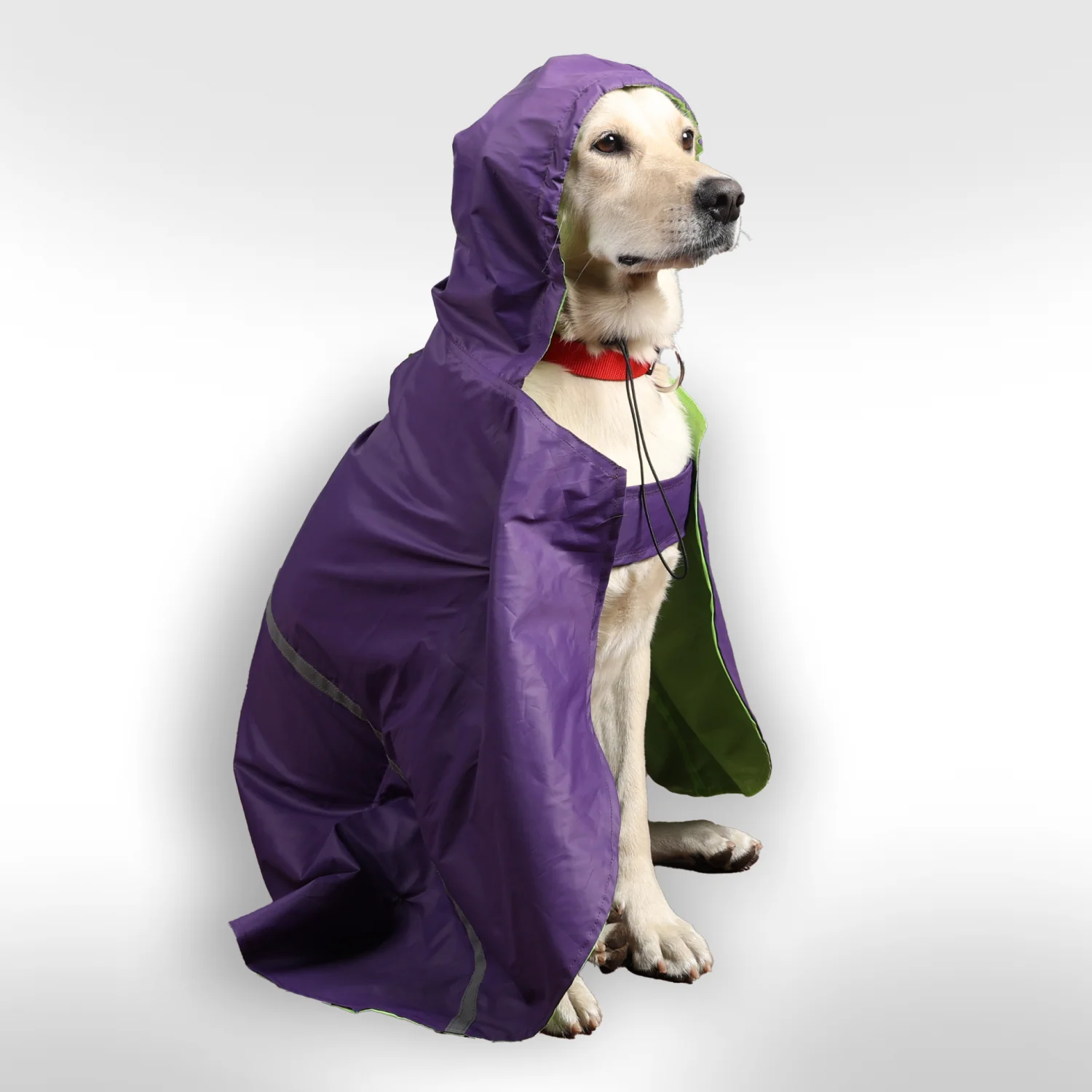Skatrs Full Coverage Cape Style Raincoat for Dogs and Cats (Purple) - Image 10