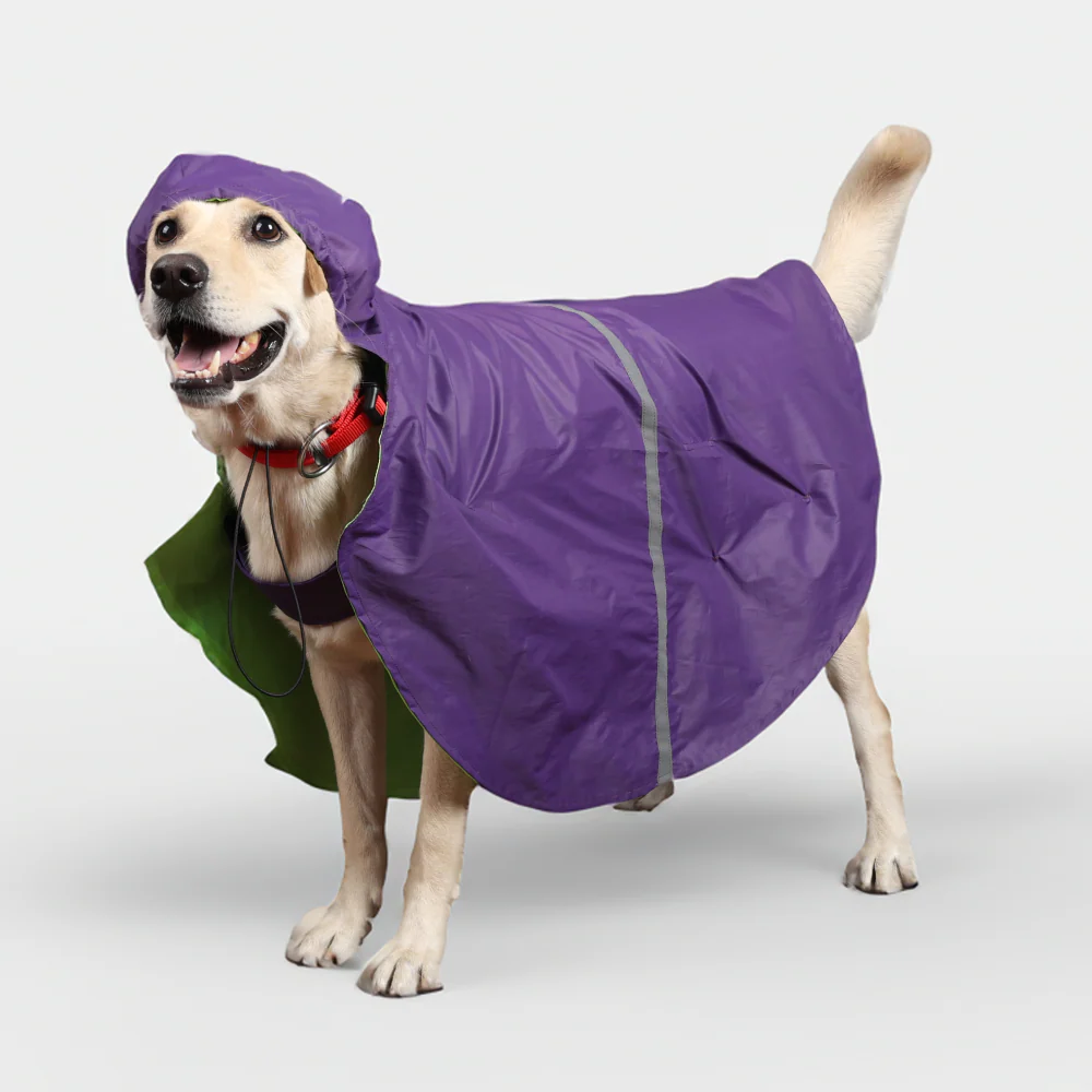 Skatrs Full Coverage Cape Style Raincoat for Dogs and Cats (Purple) - Image 3