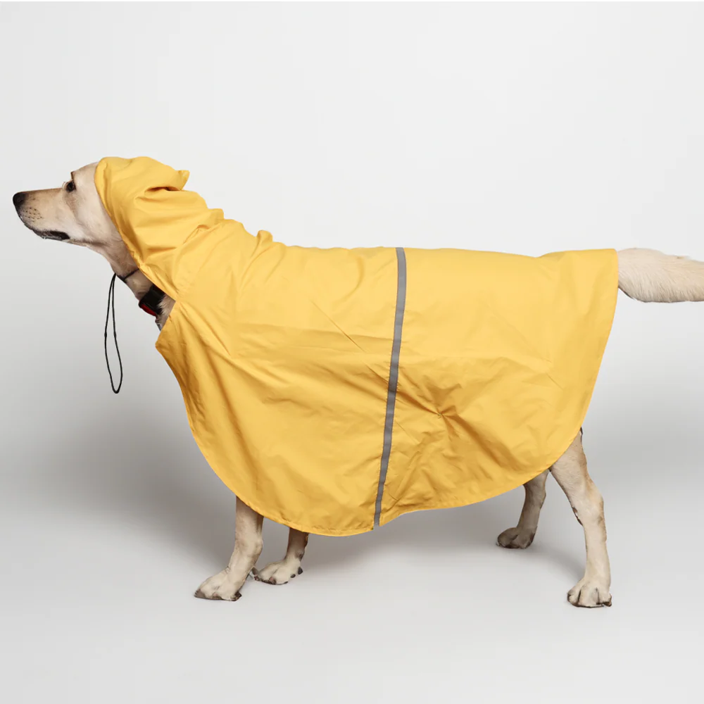 Skatrs Full Coverage Cape Style Raincoat for Dogs and Cats (Yellow) - Image 3