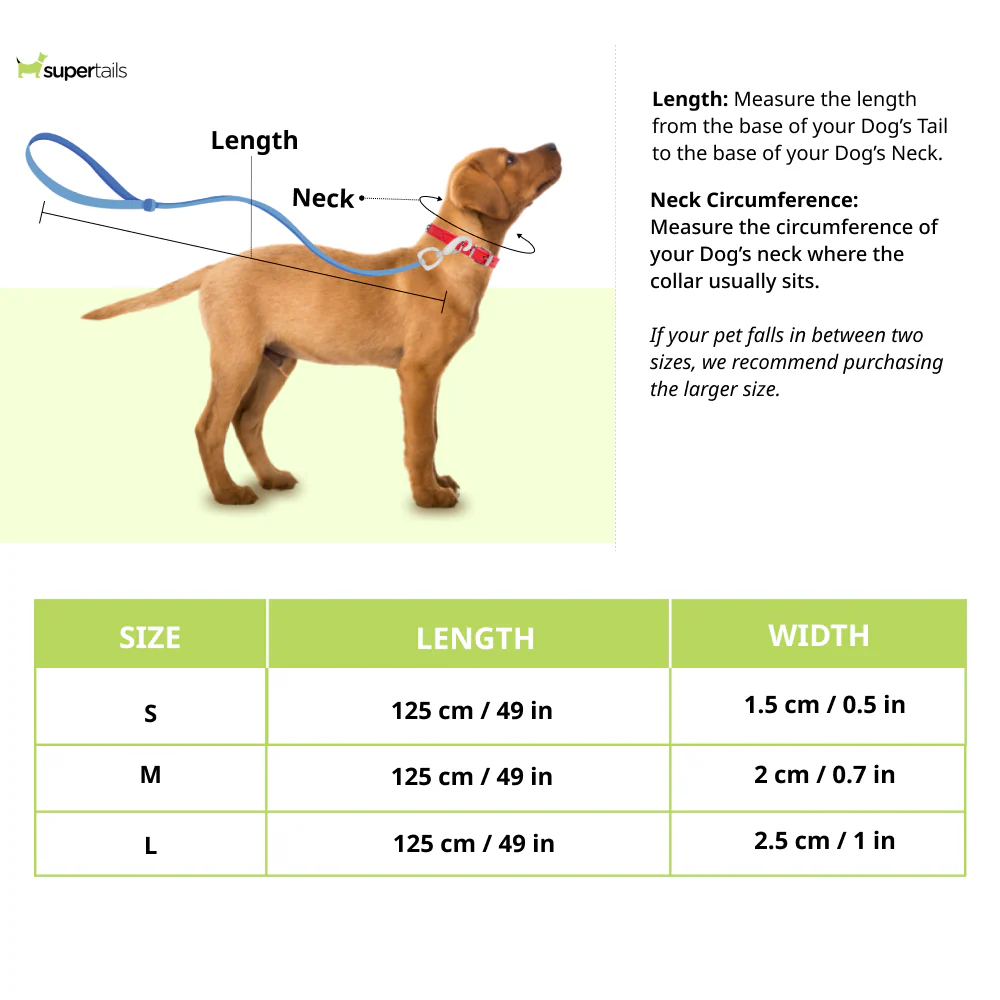 Skatrs Adventure in Style & Comfort Eclipse Leash for Dogs and Cats (Black) - Image 2