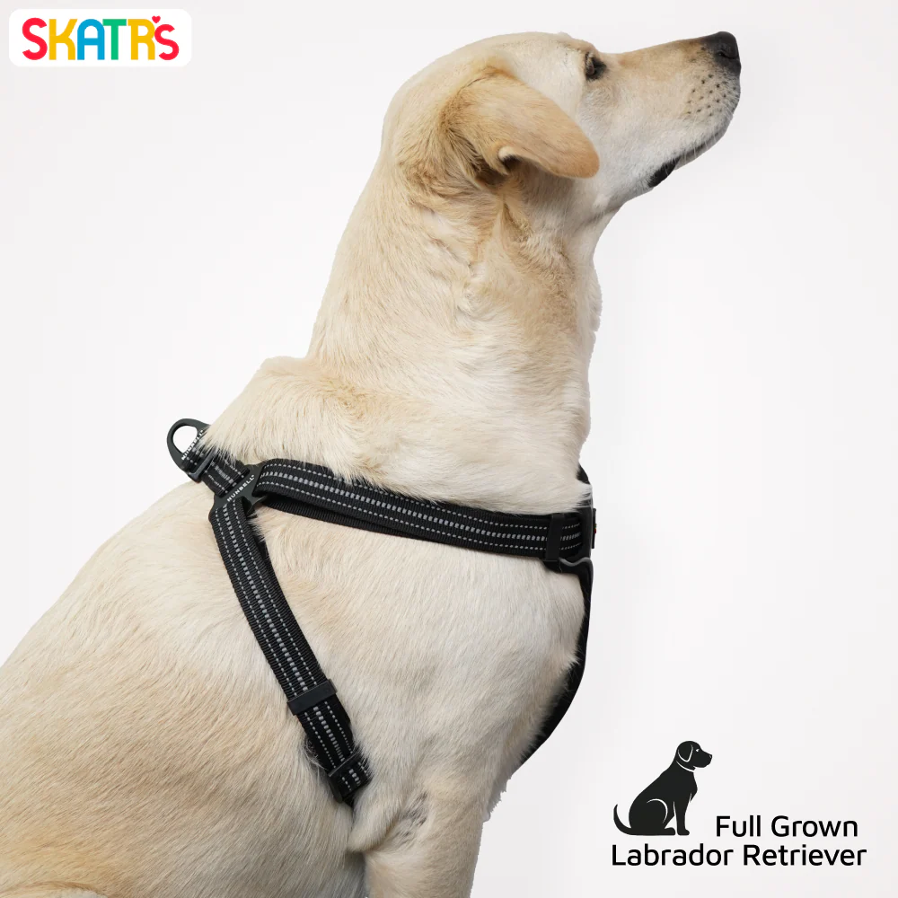 Skatrs Adventure in Style & Comfort Eclipse Padded Harness for Dogs (Black) - Image 4