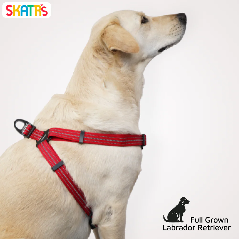 Skatrs Adventure in Style & Comfort Fiery Padded Harness for Dogs (Red) - Image 6