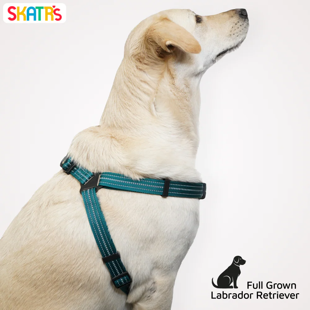 Skatrs Adventure in Style & Comfort Ocean Wave Padded Harness for Dogs (Blue) - Image 6