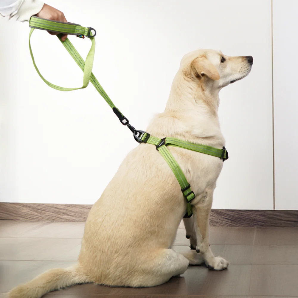 Skatrs Adventure in Style & Comfort Tropical Leash for Dogs and Cats (Green) - Image 5