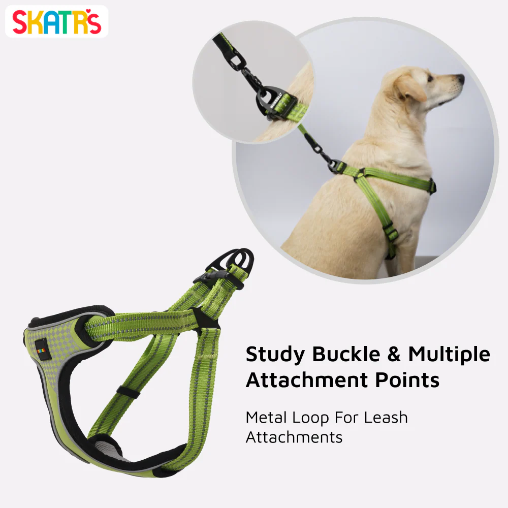 Skatrs Adventure in Style & Comfort Tropical Padded Harness for Dogs (Green) - Image 5