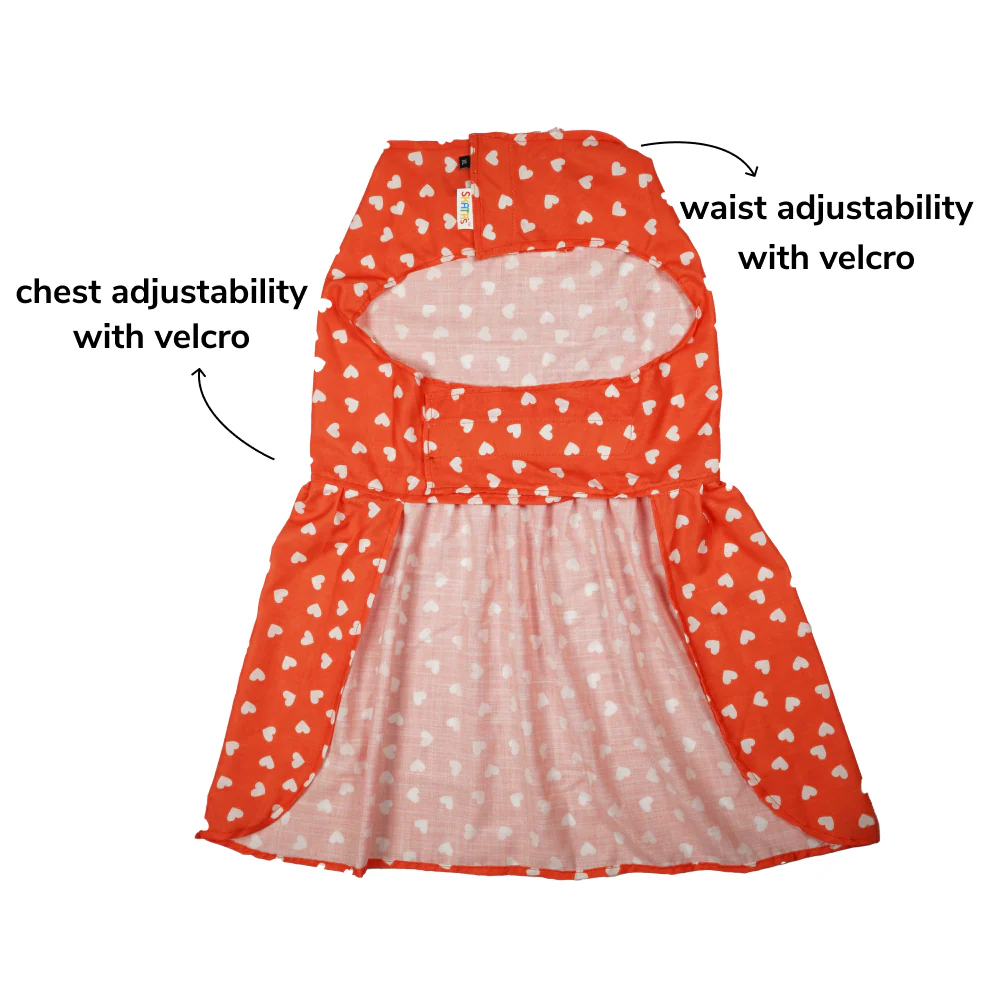 Skatrs All Hearts Printed Dress for Dogs and Cats (Red) - Image 4