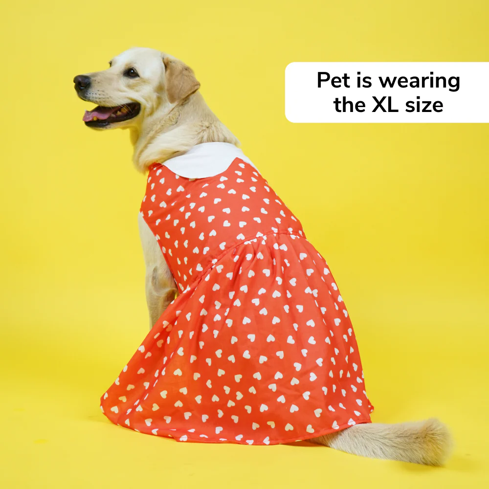 Skatrs All Hearts Printed Dress for Dogs and Cats (Red) - Image 5