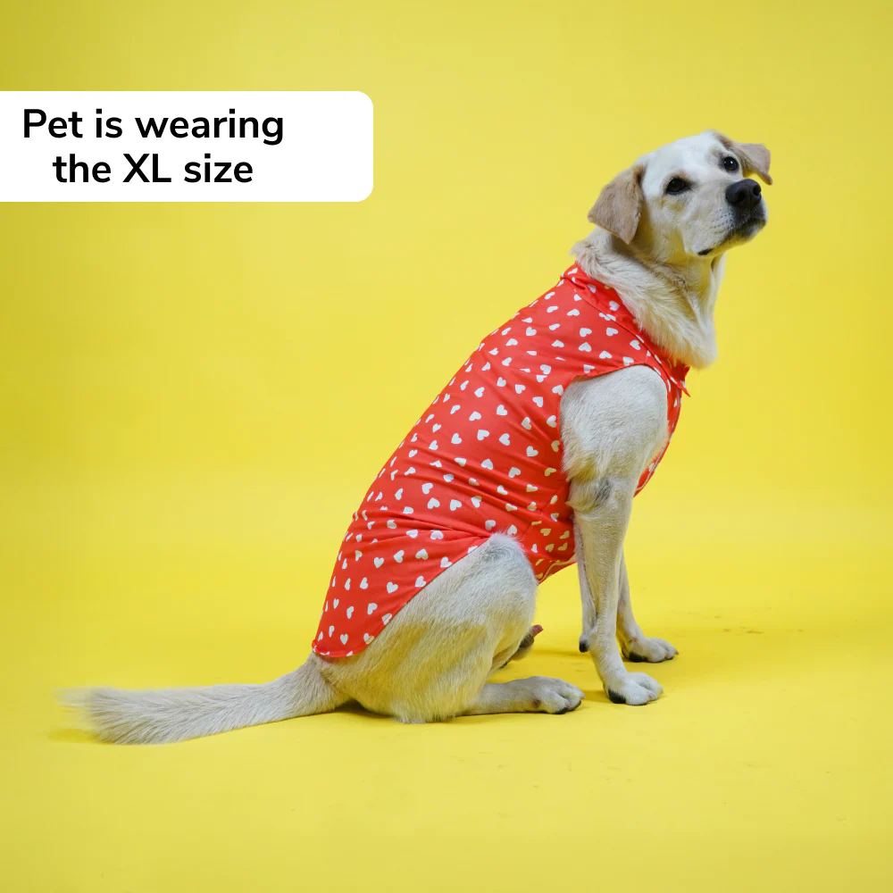 Skatrs All Hearts Printed Shirt for Dogs and Cats (Red) - Image 3