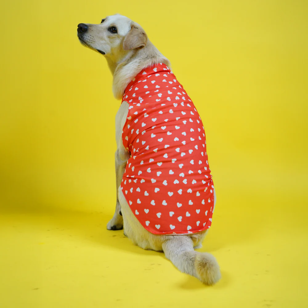 Skatrs All Hearts Printed Shirt for Dogs and Cats (Red) - Image 4