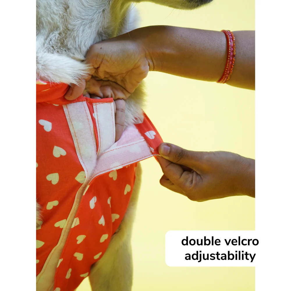 Skatrs All Hearts Printed Shirt for Dogs and Cats (Red) - Image 5
