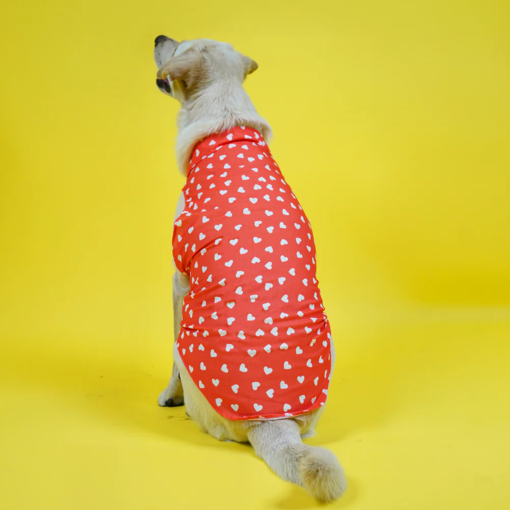 Skatrs All Hearts Printed Shirt for Dogs and Cats (Red) - Image 6