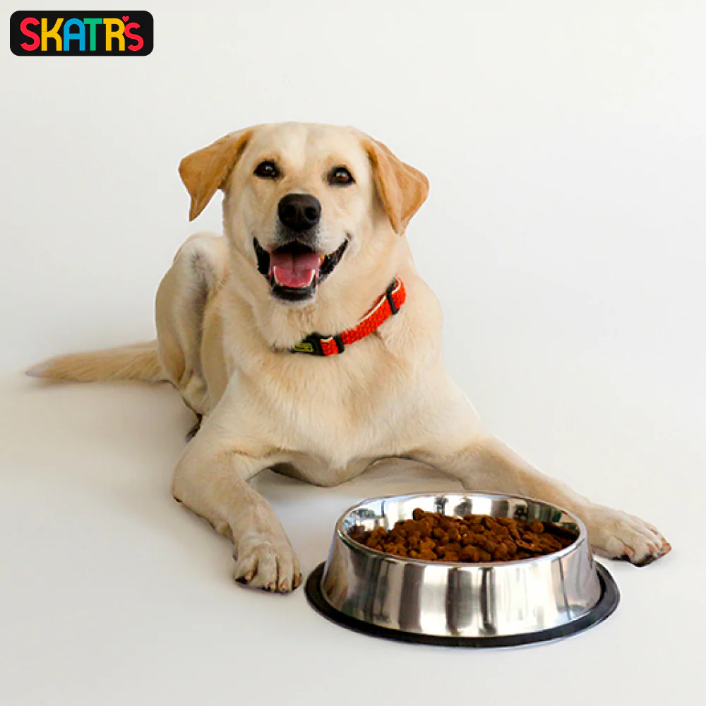 Skatrs Anti Skid Stainless Steel Bowl for Dogs and Cats (700mL) - Image 6