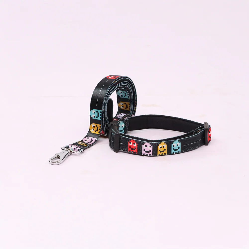 Skatrs Arcade Mood Leash for Dogs - Image 3