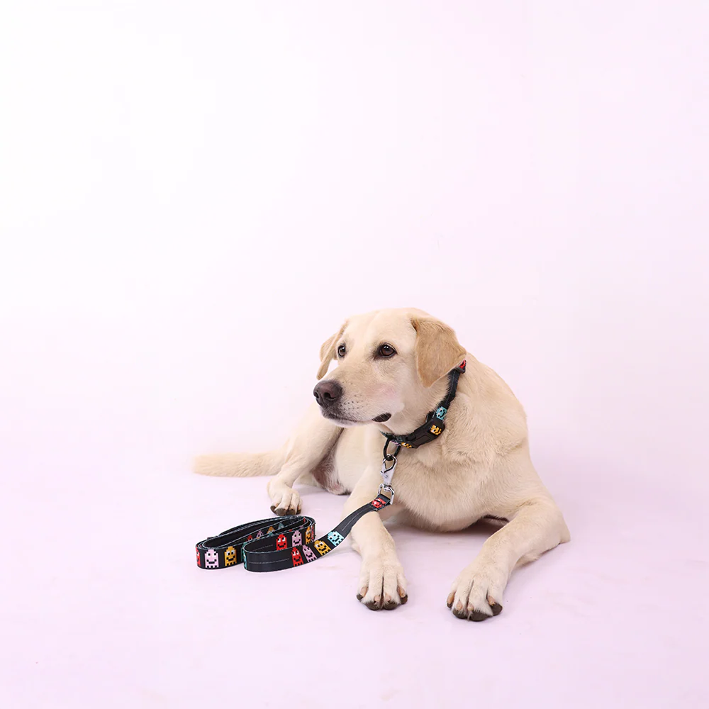 Skatrs Arcade Mood Leash for Dogs - Image 5