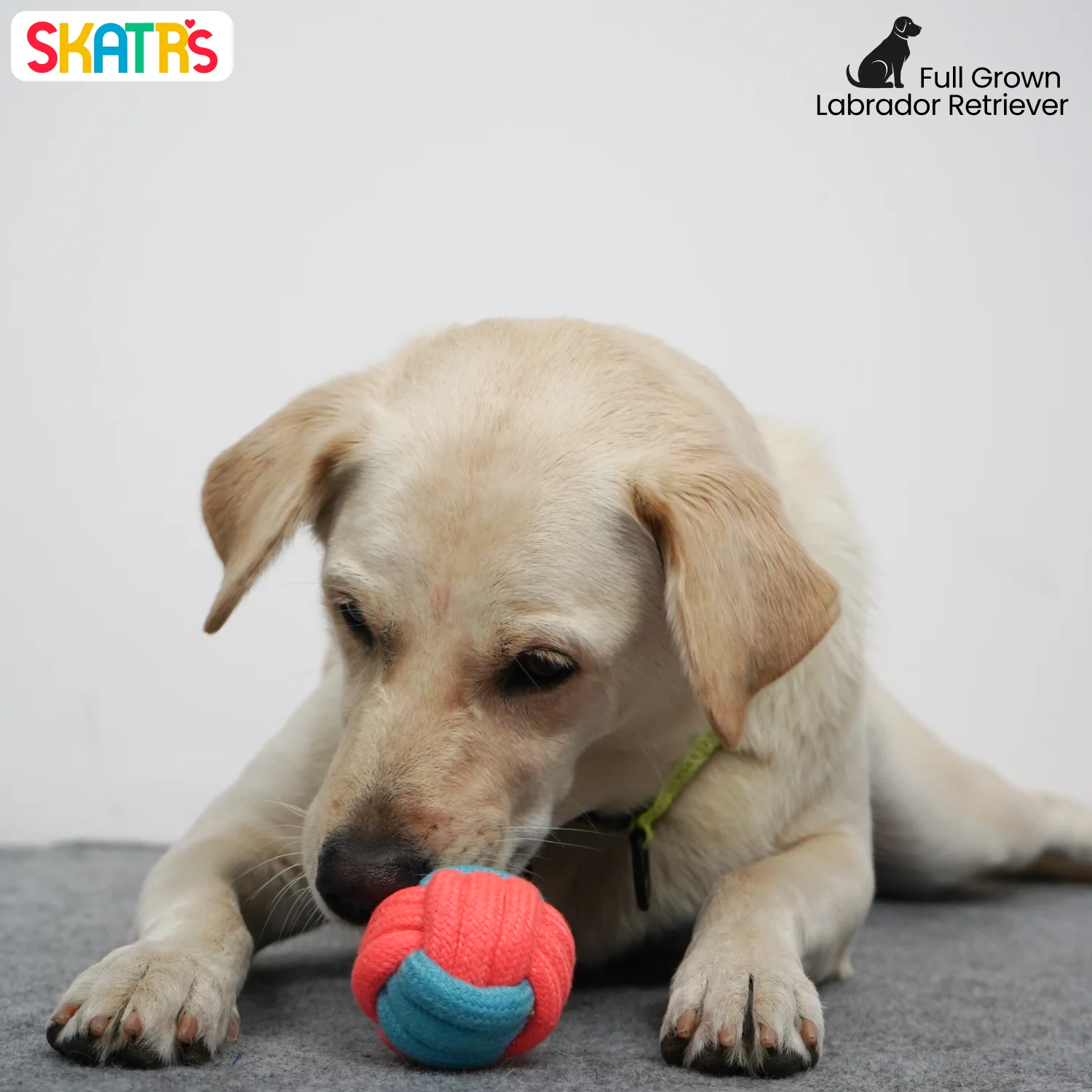 Skatrs Ball Shaped Rope Chew Toy for Dogs and Cats (Pink/Sky Blue) - Image 4