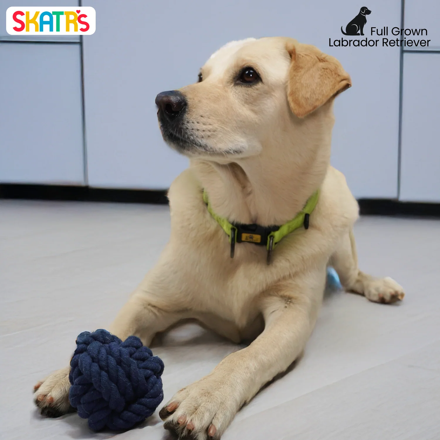 Skatrs Ball Shaped Twisted Rope Chew Toy for Dogs and Cats (Navy Blue) - Image 4