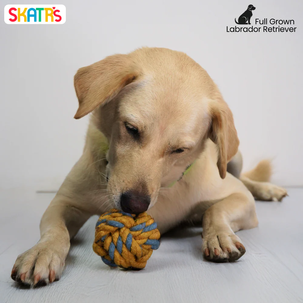Skatrs Ball Shaped Twisted Rope Chew Toy for Dogs and Cats (Yellow/Grey) - Image 4